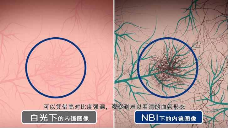 822a098a-1a47-11ee-a08c-02ebc9750464.png